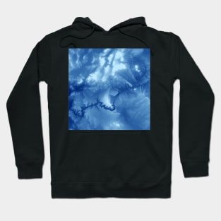 Grand Canyon Hoodie